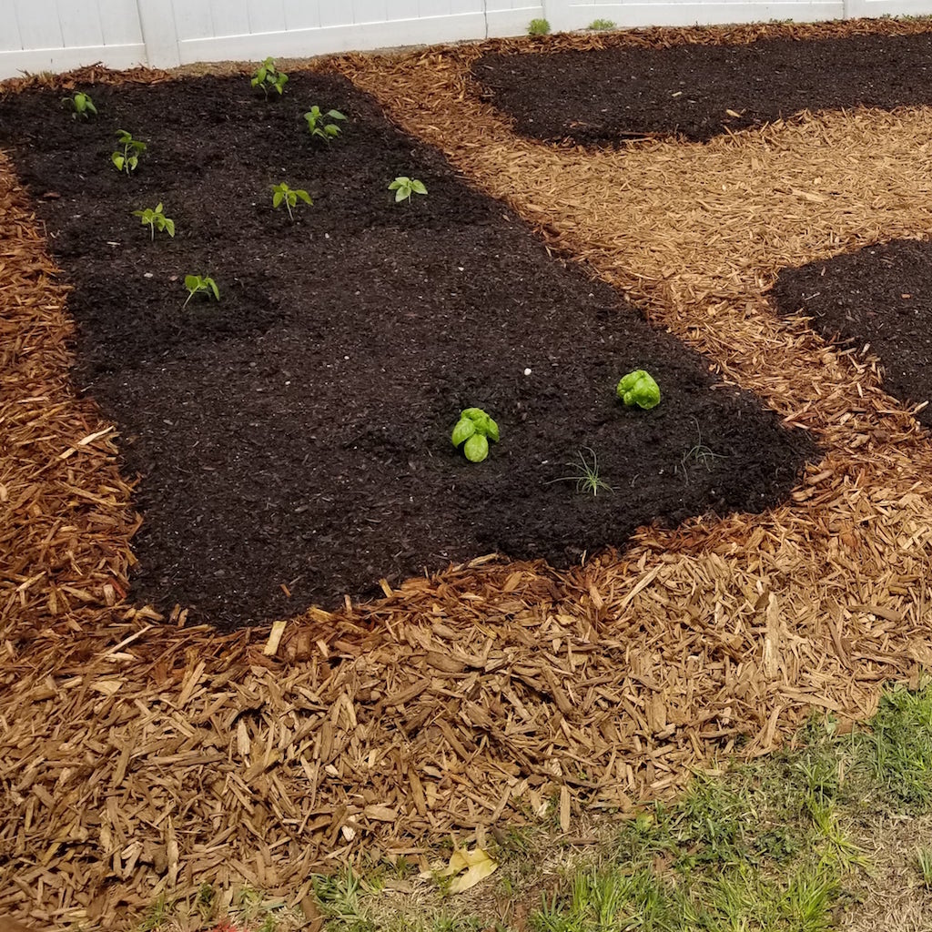 Bulk Compost For Sale near Tampa Tampa