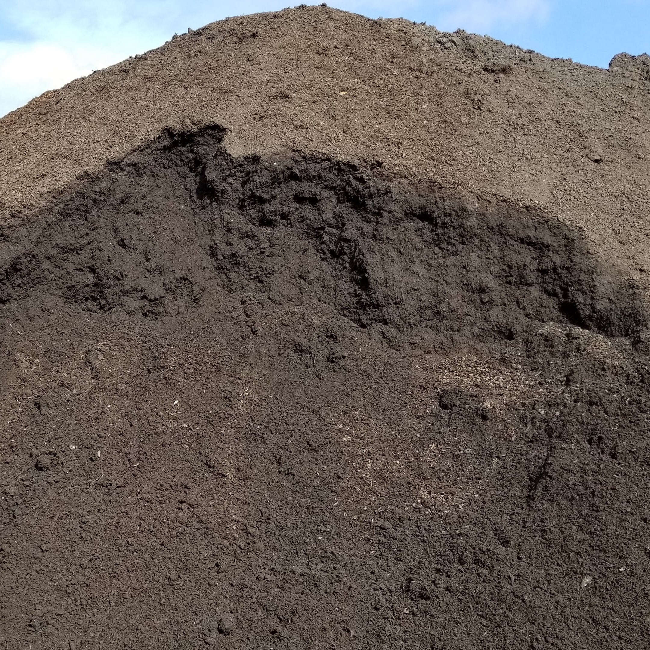 Garden Soil for Raised Bed near Tampa Bulk Tampa