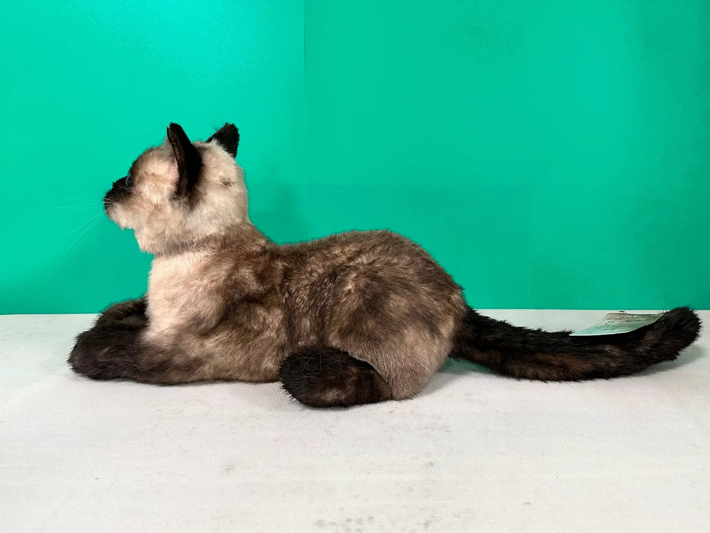 Life-size plush Siamese cat by Chongker, beige and brown fur with black ears, memorial on Tampa Home & Garden Store