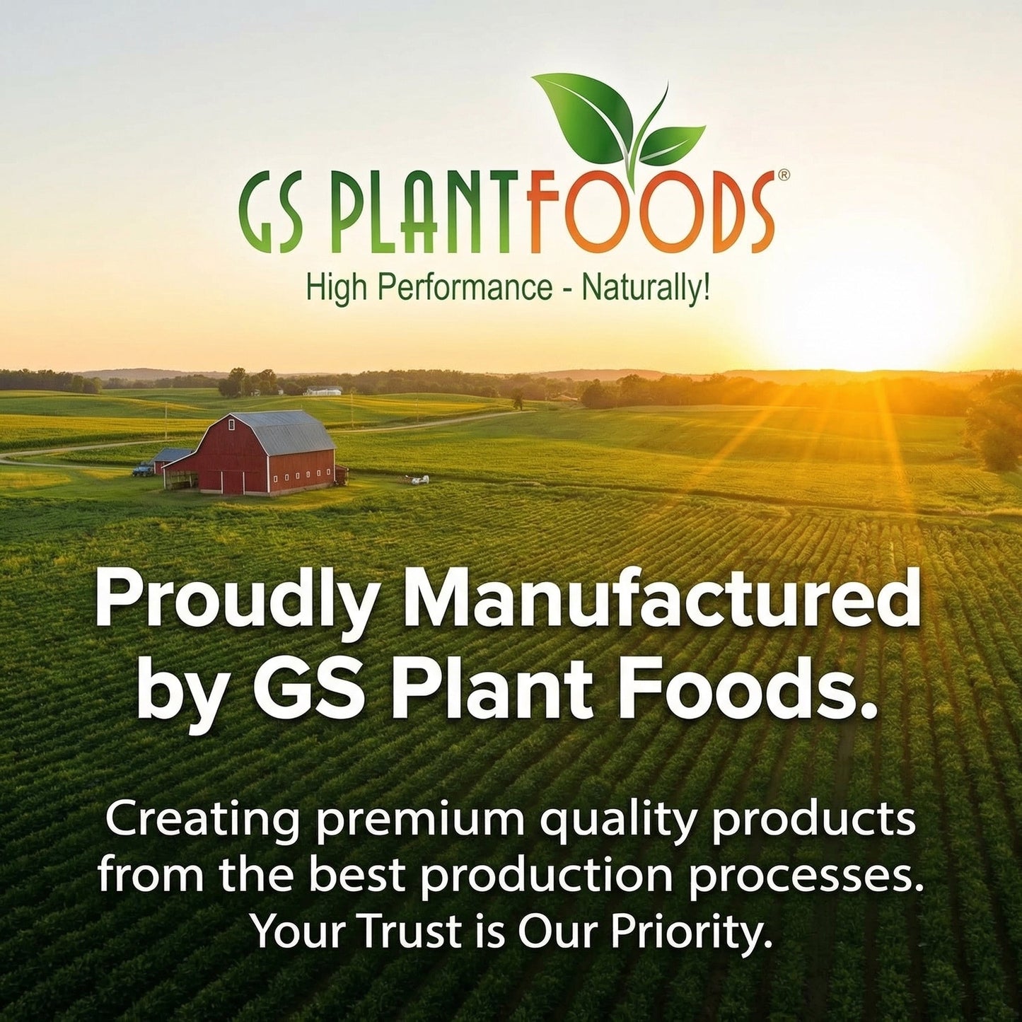 Amino Power Plant-Based Nitrogen Fertilizer by GS Plant Foods logo on a sunset farm landscape on Tampa Home & Garden Store