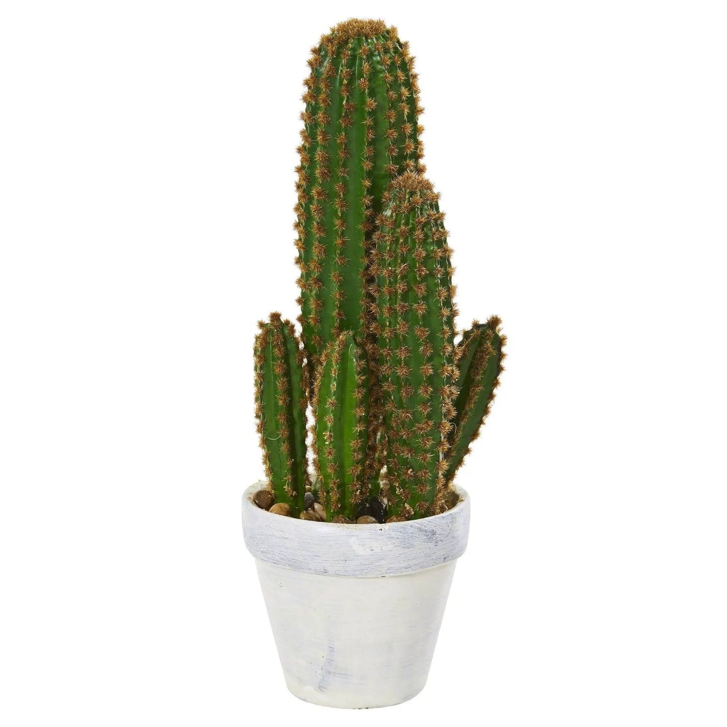 1.5’ Cactus Succulent Artificial Plant - Tampa Home & Garden Store