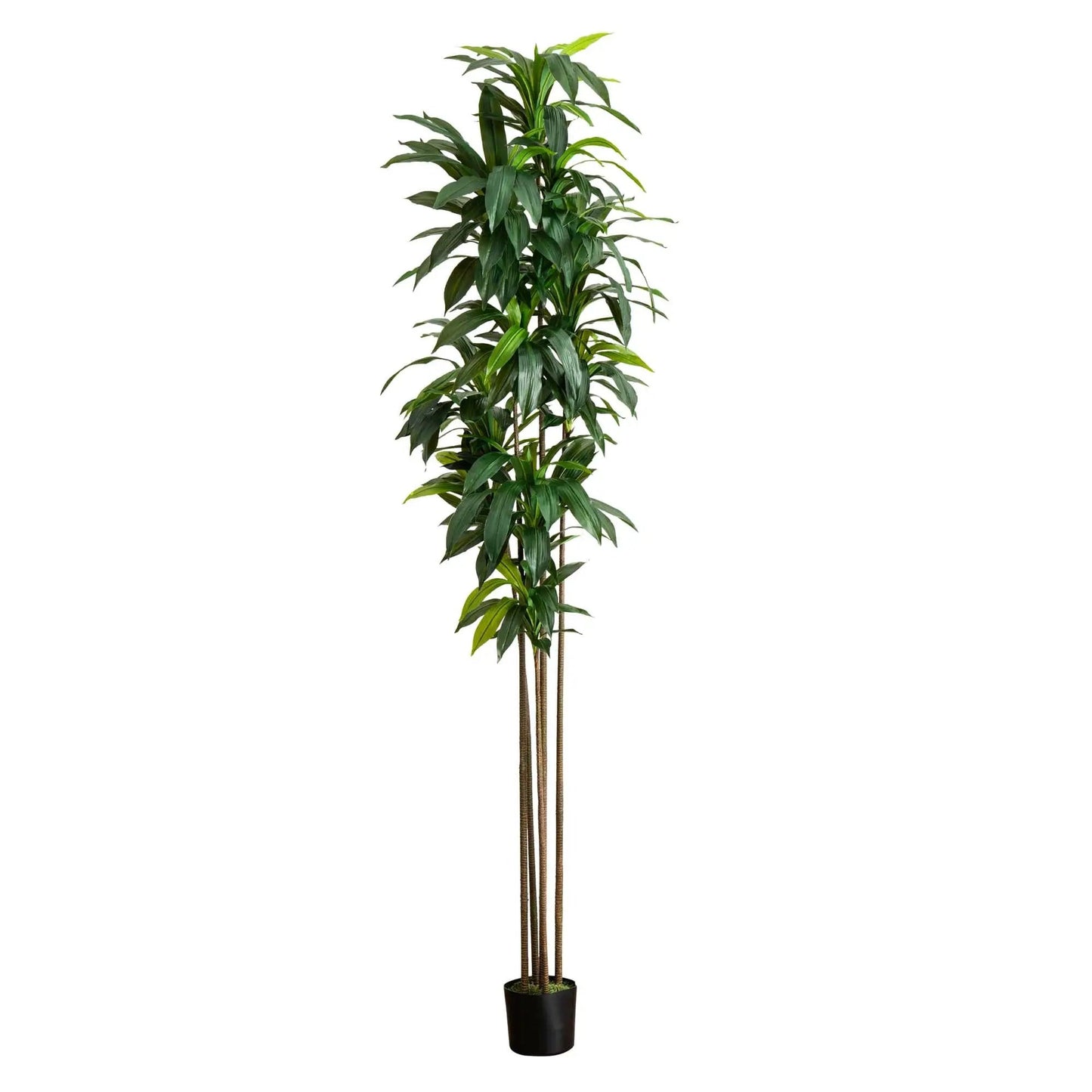 Artificial Dracaena Tree with Real Touch Leaves by Nearly Natural, tall green plant in pot on Tampa Home & Garden Store