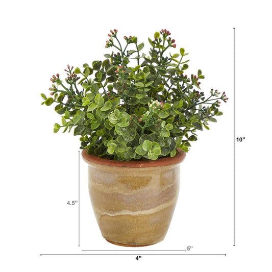 Artificial Eucalyptus and Sedum succulent in a ceramic planter by Nearly Natural on Tampa Home & Garden Store
