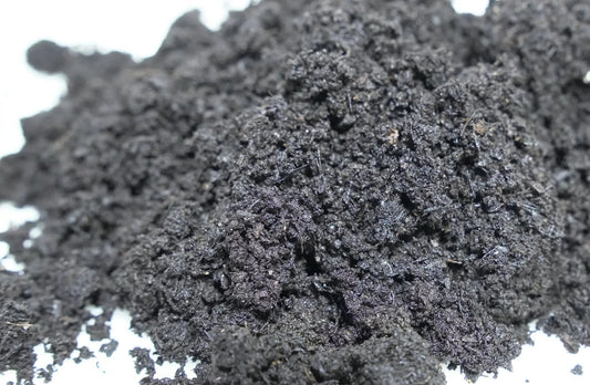 Earthworm Casting Substrate for Mushrooms dark crumbly soil for mushroom growing kits on Tampa Home & Garden Store