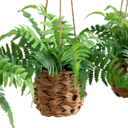10” UV Resistant Artificial Boston Fern in Hanging Wicker Basket (Indoor/Outdoor) - Set of 3 - Tampa Home & Garden Store