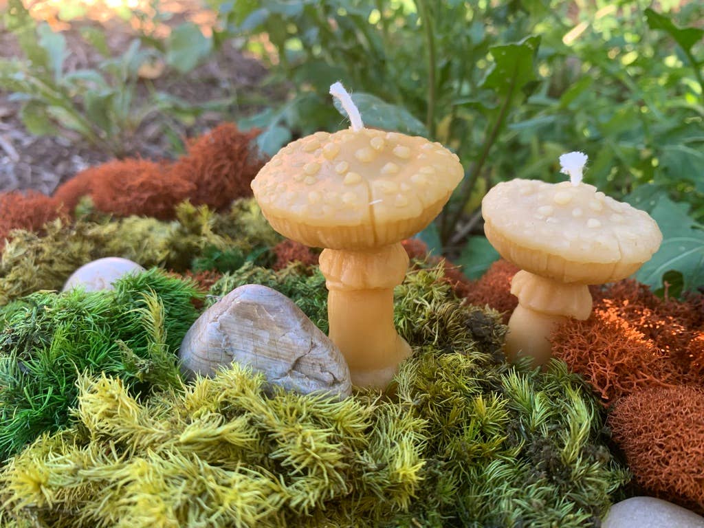 100% Beeswax Candle- Amanita Mushroom - Tampa Home & Garden Store