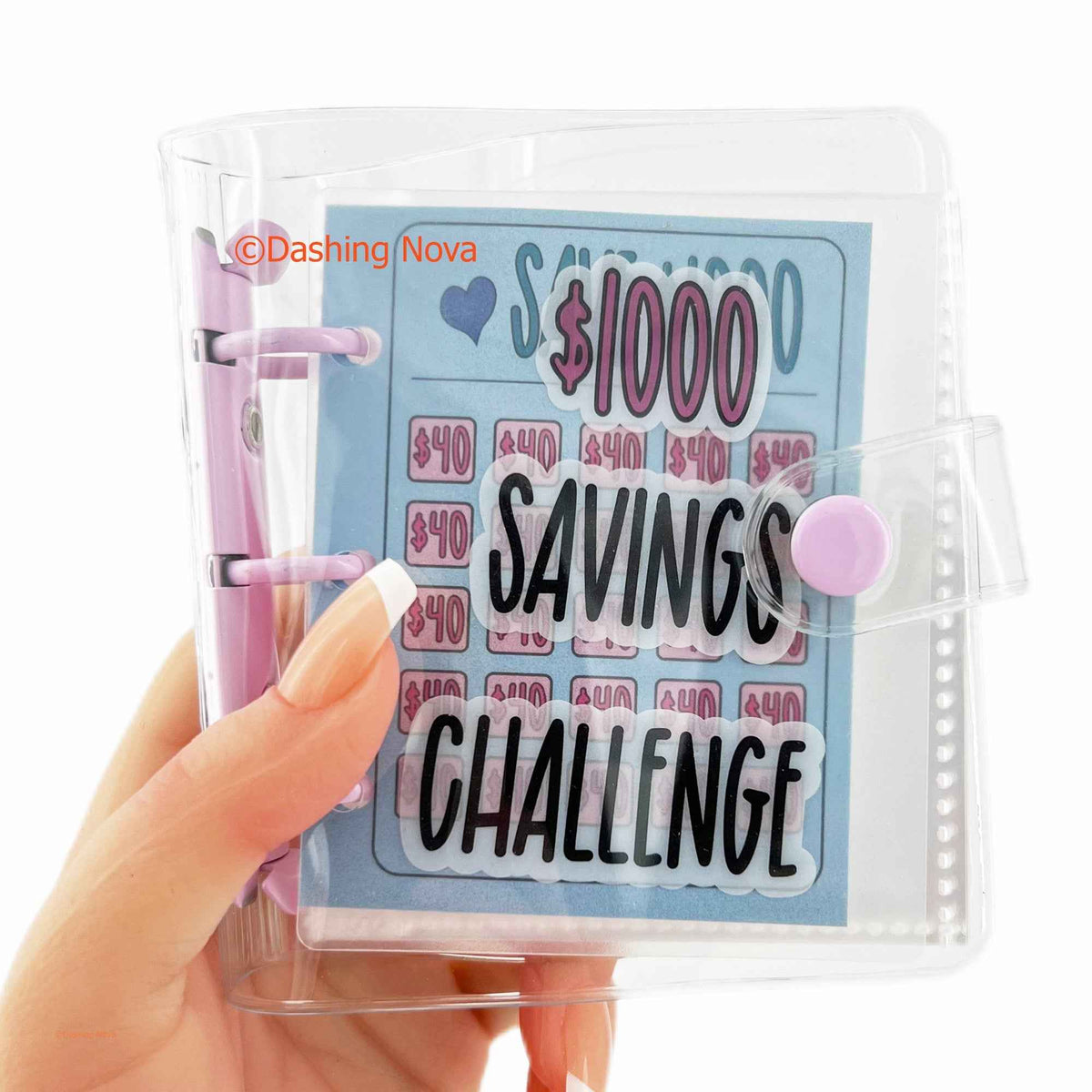 the 1000 Dollar Savings Challenge Book Organizer
