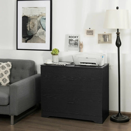 DirectDeals 2-Drawer Lateral File Cabinet with adjustable bars in black on Tampa Home & Garden Store