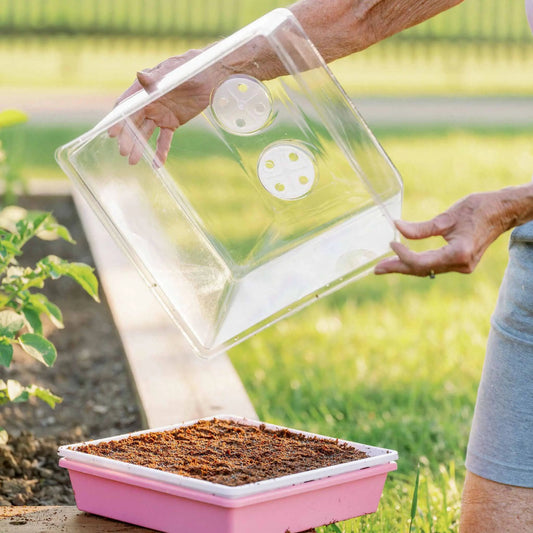 1010 Humidity Dome Tray Lids - Tampa soil911.com