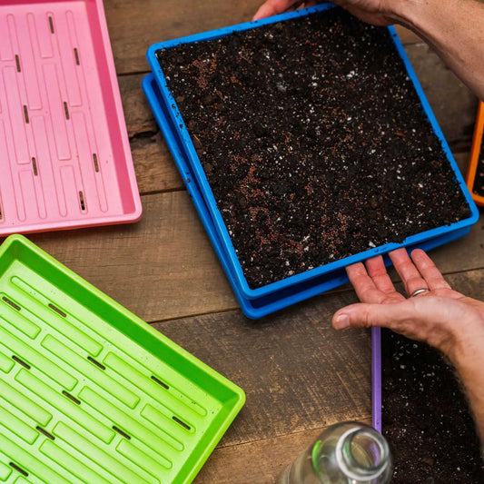 1010 Shallow Seed Trays - Tampa Home & Garden Store