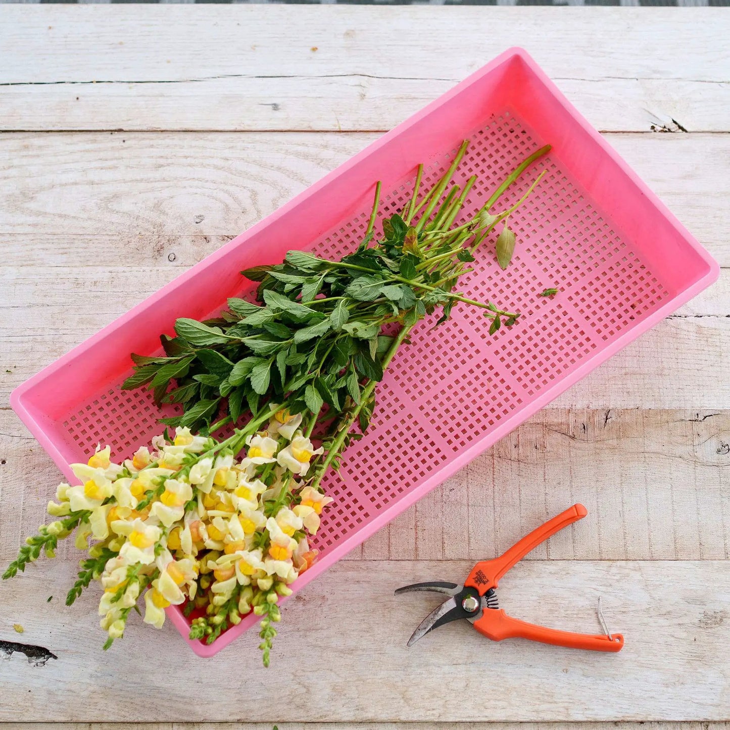 1020 Mesh Deep Tray 2.5in USA-made pink with herb stems and flowers, orange shears nearby on Tampa Home & Garden Store