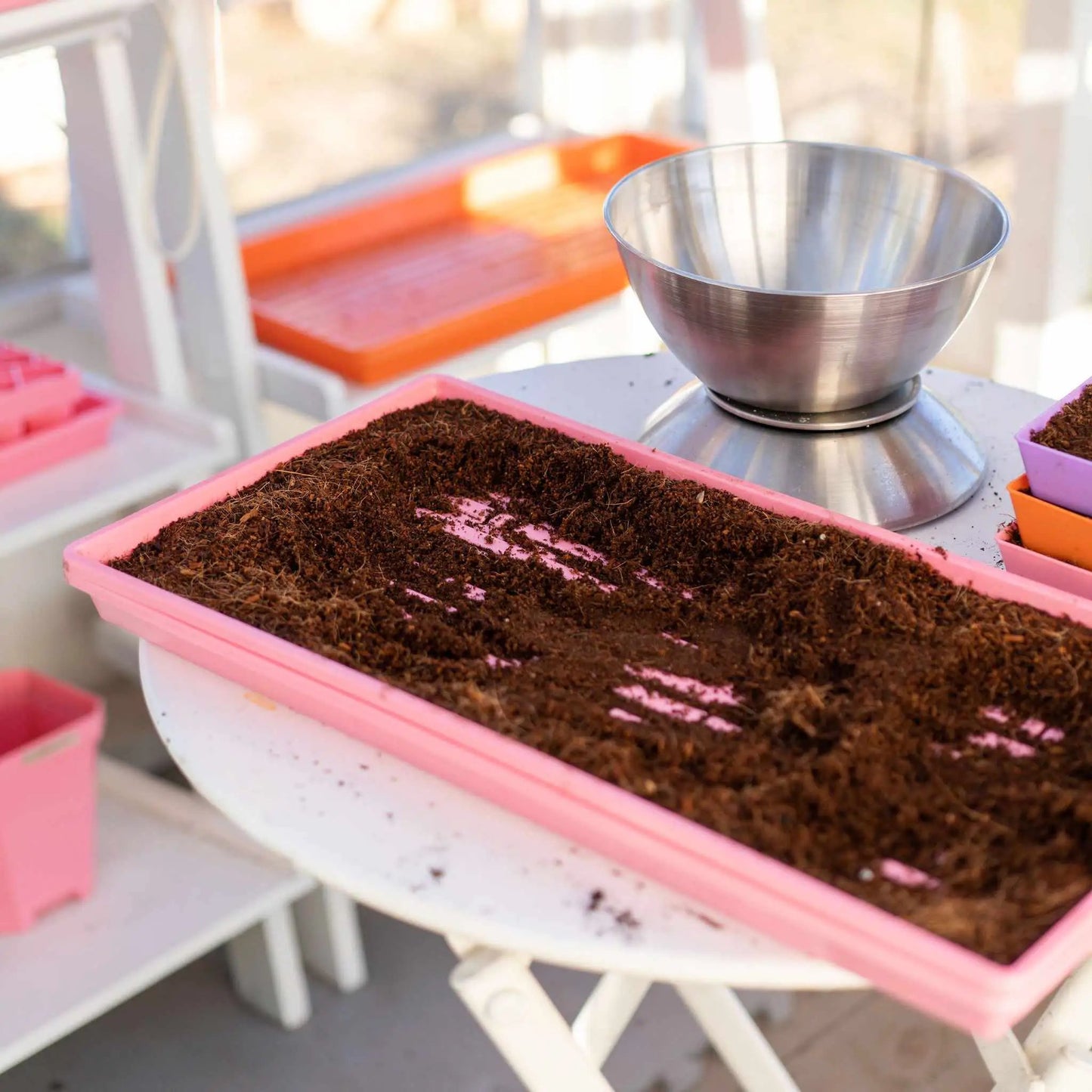 1020 Trays Bootstrap Farmer pink shallow tray filled with soil, USA-made on Tampa Home & Garden Store