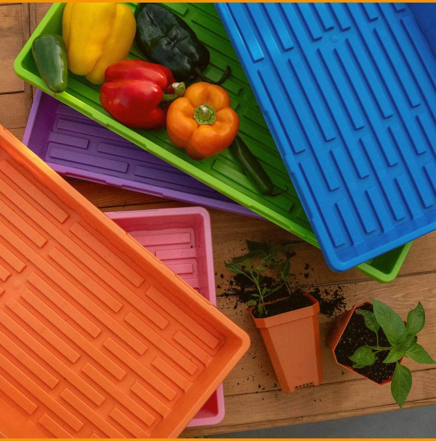 1020 Seed Starting Trays - Colored - Tampa Home & Garden Store
