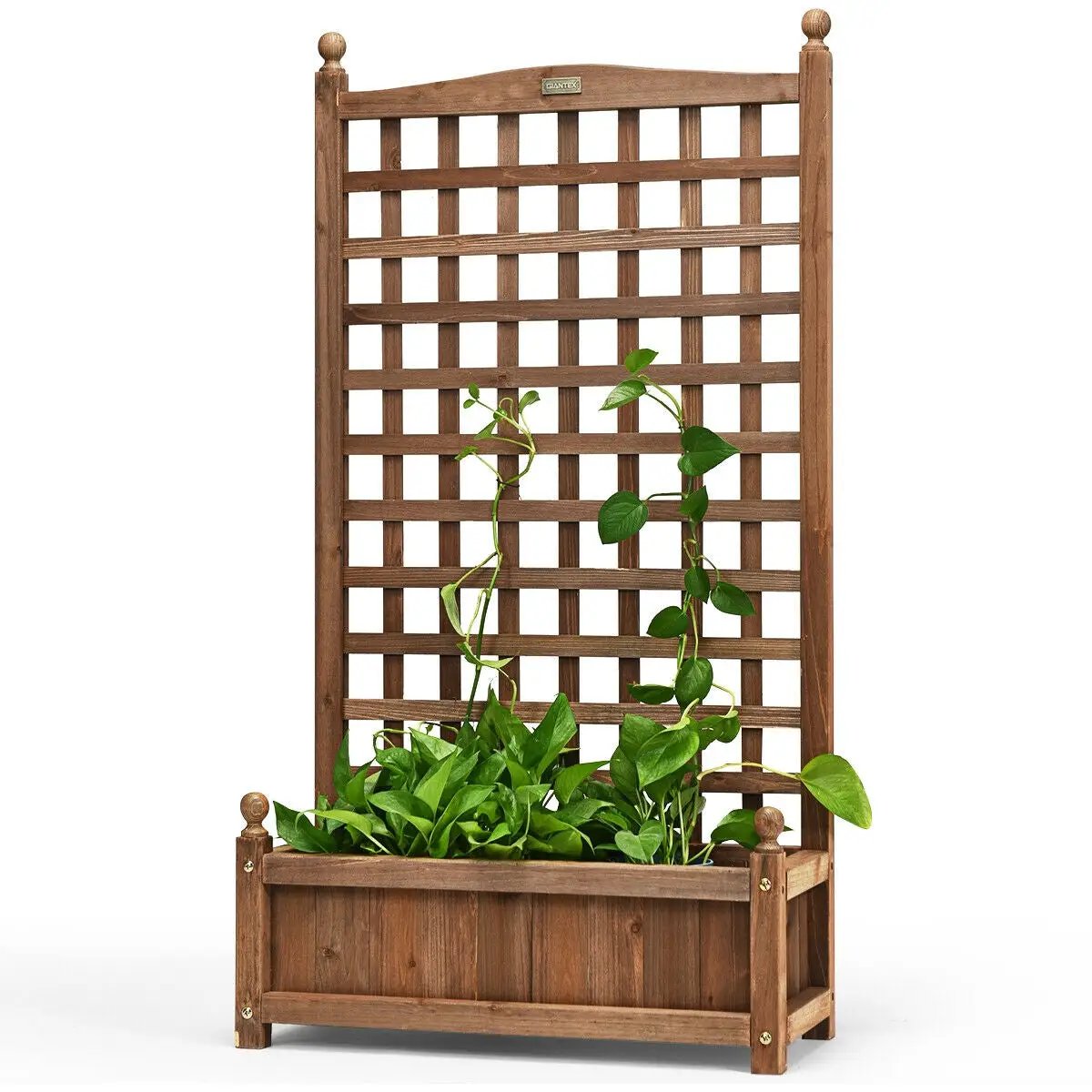 Solid Free Standing Wood Planter Box with lattice trellis in brown wood DirectDeals on Tampa Home & Garden Store