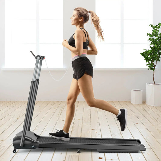 Compact Folding Treadmill with Touch Screen APP Control in black DirectDeals on Tampa Home & Garden Store