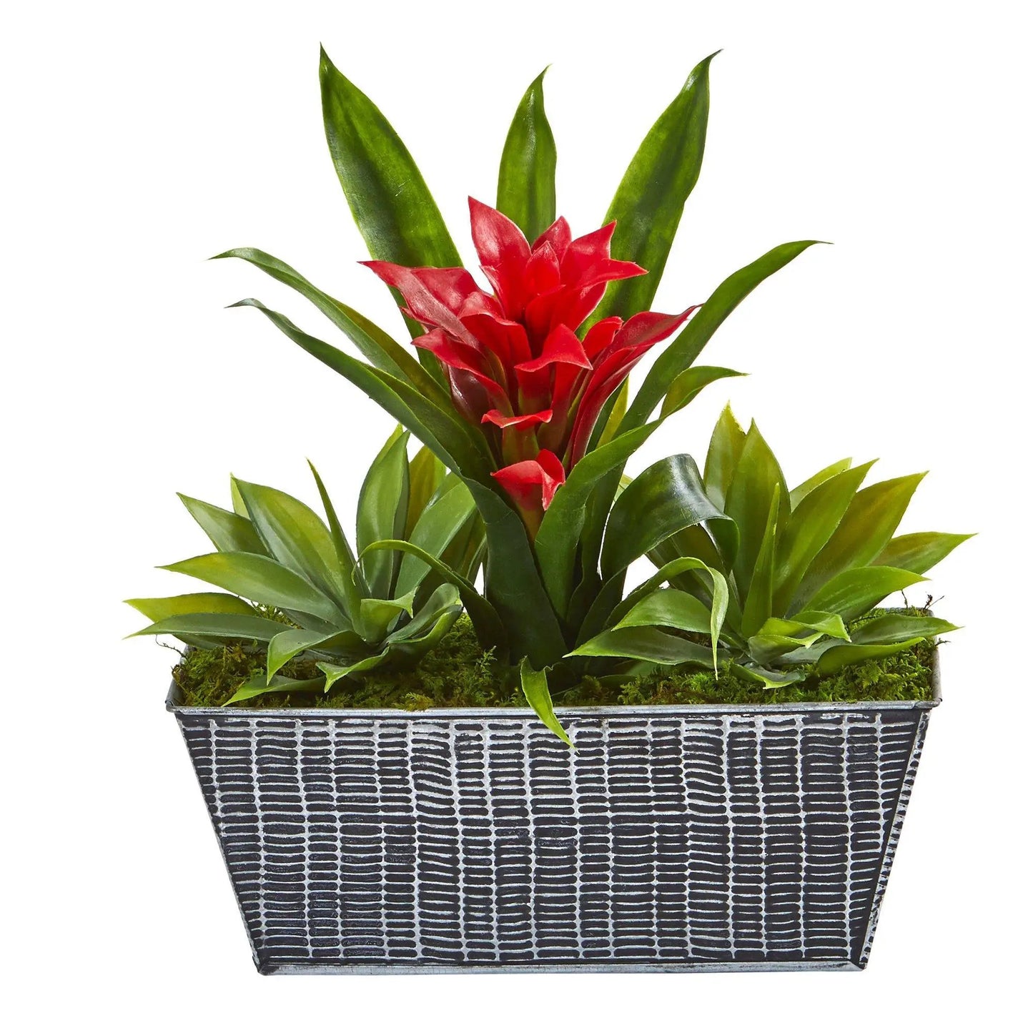 11-inch artificial bromeliad and agave plant in a black tin planter with red bracts on Tampa Home & Garden Store