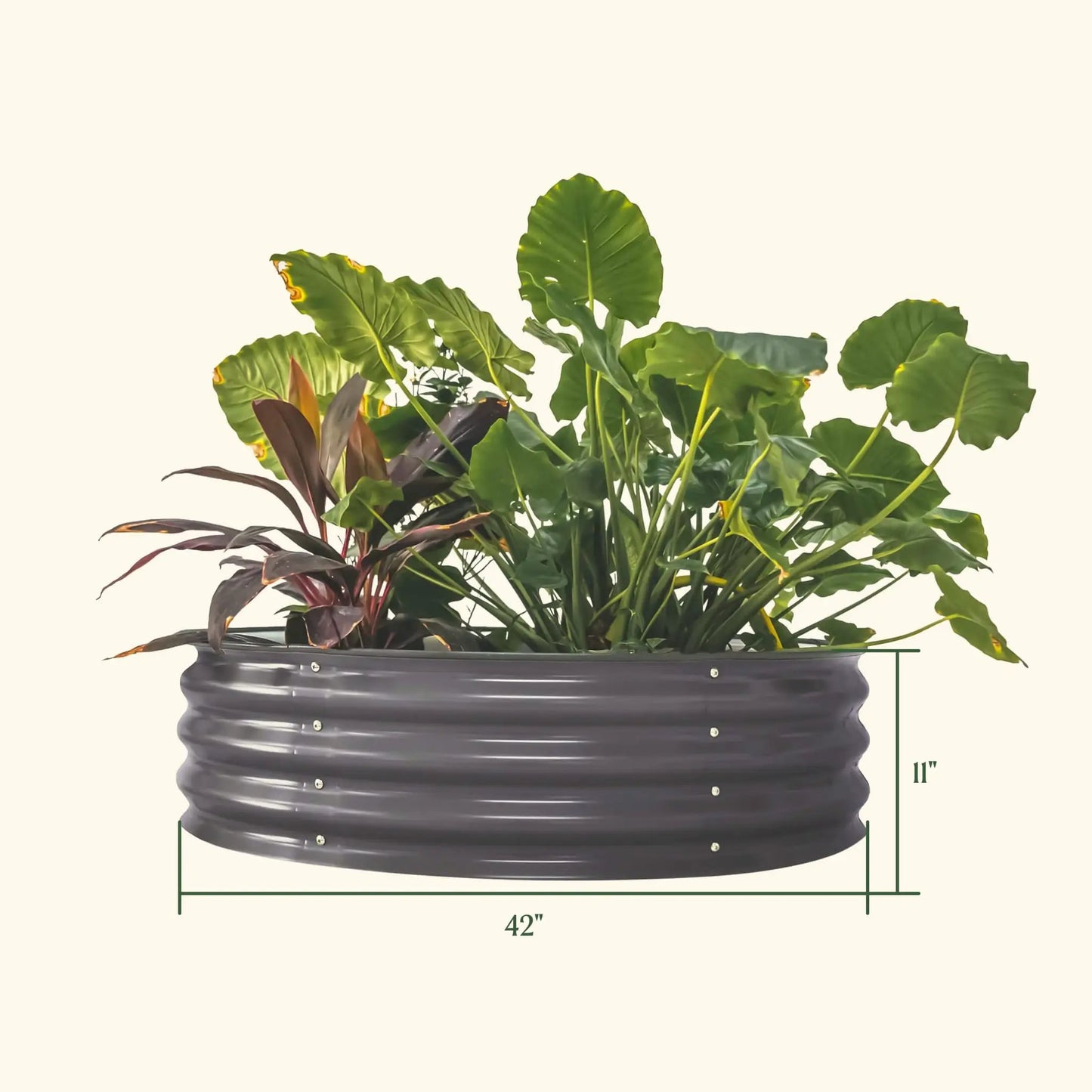 11-inch tall round metal raised garden bed with lush green foliage on Tampa Home & Garden Store