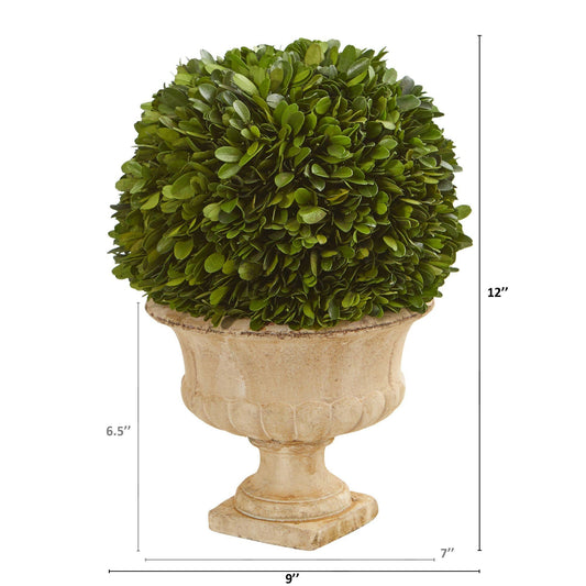 12” Boxwood Topiary Ball Preserved Plant in Decorative Urn - Tampa Home & Garden Store