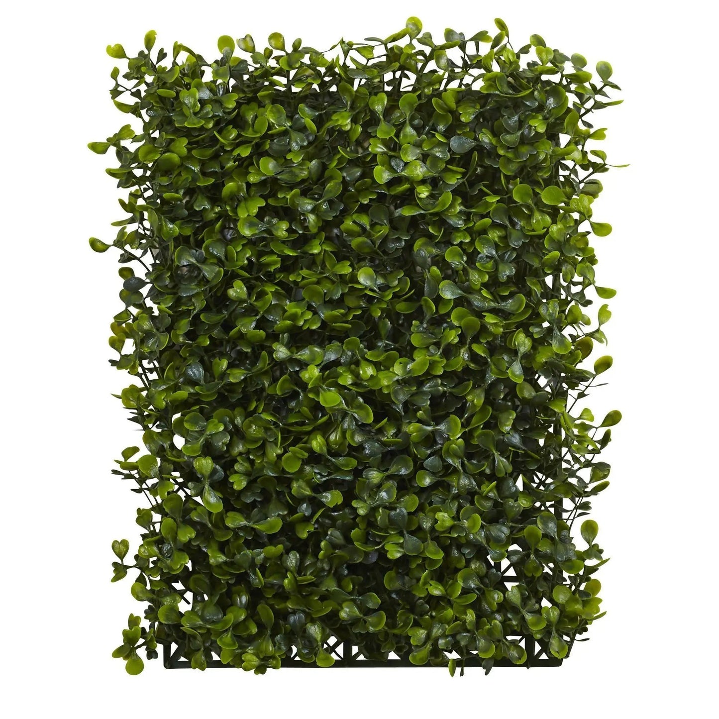 12” x 10” Boxwood Mat (Set of 12) - Tampa Home & Garden Store