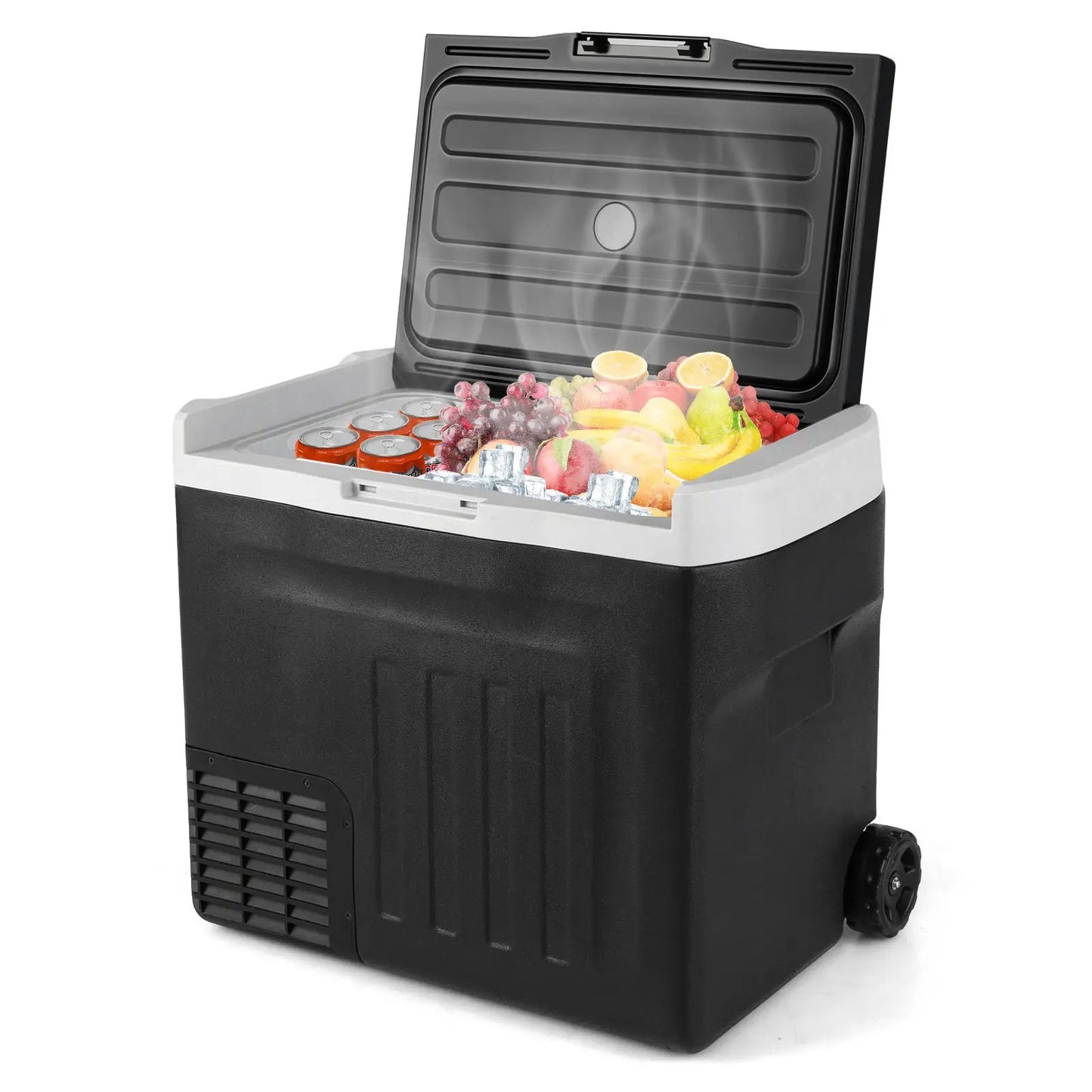12V Car Refrigerator 32QT with Touch Panel and Removable Divider-M - Tampa Home & Garden Store