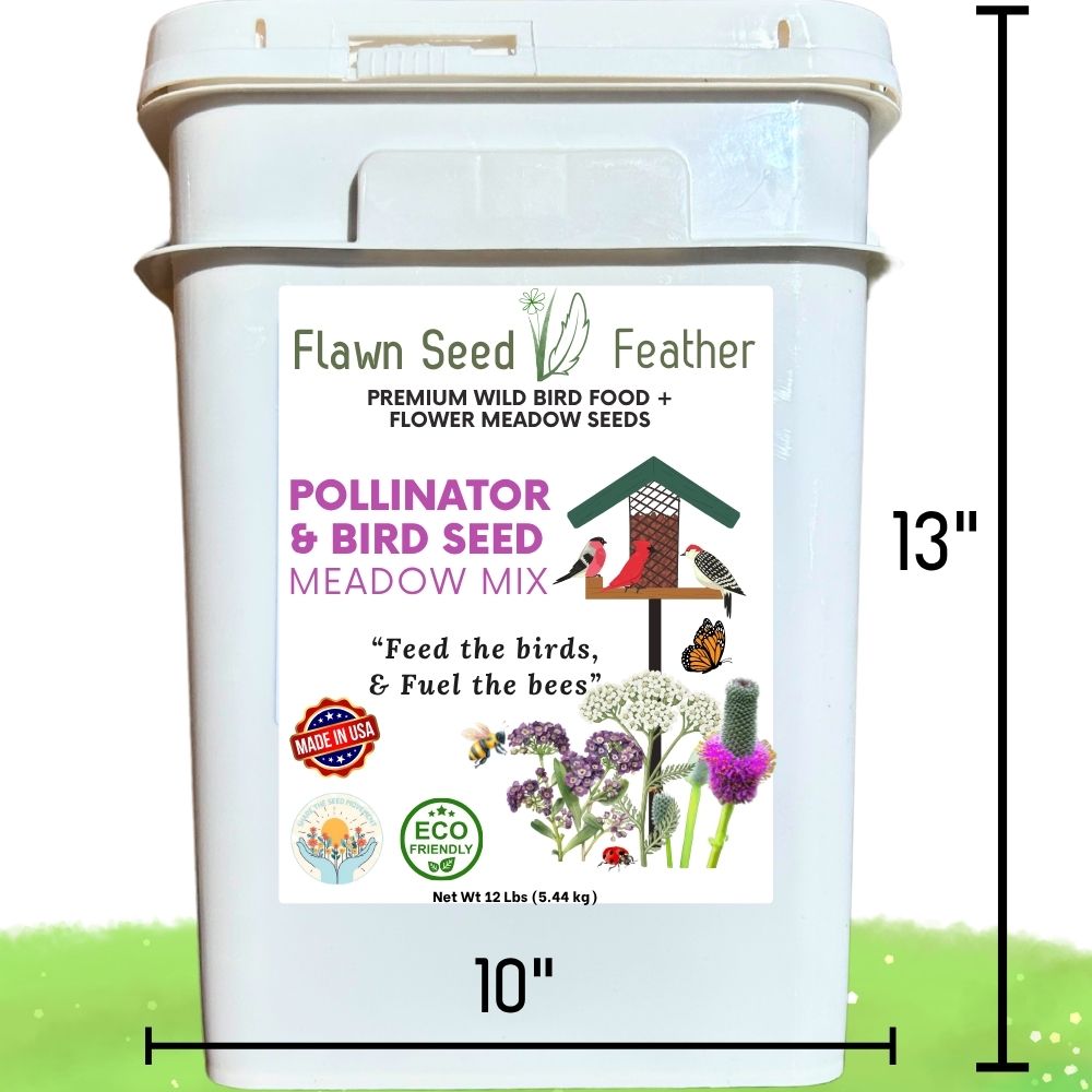 Pollinator & Bird Seed Meadow Mix bucket, white plastic 12 lb, Flawn Seed Kits label on Tampa Home & Garden Store