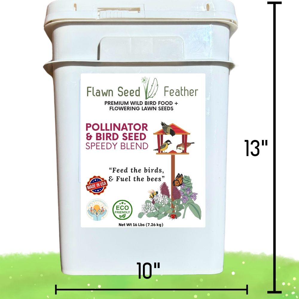 Pollinator & Bird Seed Speedy Blend tub by Flawn Seed Kits, 16 lb bird food on Tampa Home & Garden Store