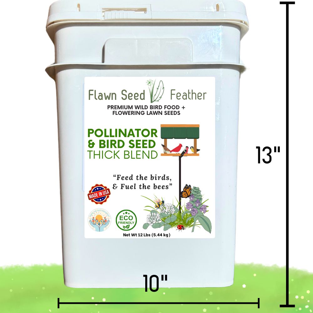 Pollinator & Bird Seed Thick Blend Flawn Seed Kits, 12 lb bird food on Tampa Home & Garden Store