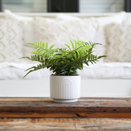 Artificial Boston Fern in a white ceramic decorative planter on Tampa Home & Garden Store
