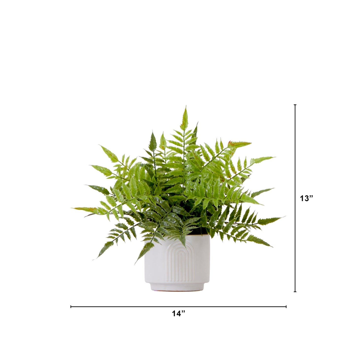 13" Artificial Boston Fern Plant with Decorative Planter - Tampa Home & Garden Store
