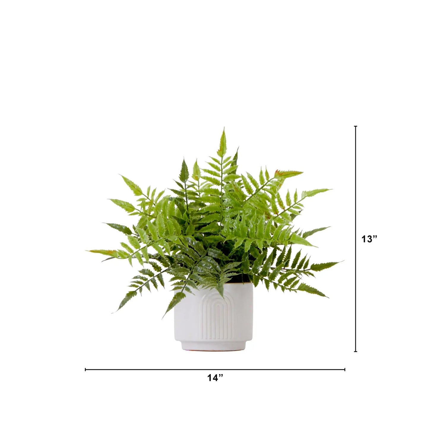 Artificial Boston Fern in white decorative planter by Nearly Natural, lush green fronds on Tampa Home & Garden Store