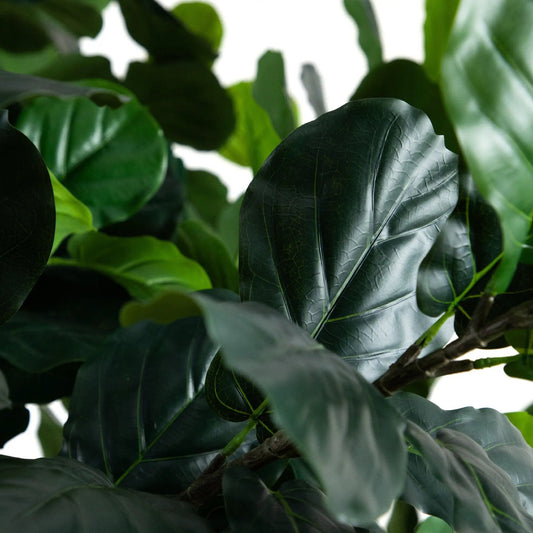 Tall artificial fiddle leaf fig tree leaves close-up in dark green, realistic texture on Tampa Home & Garden Store
