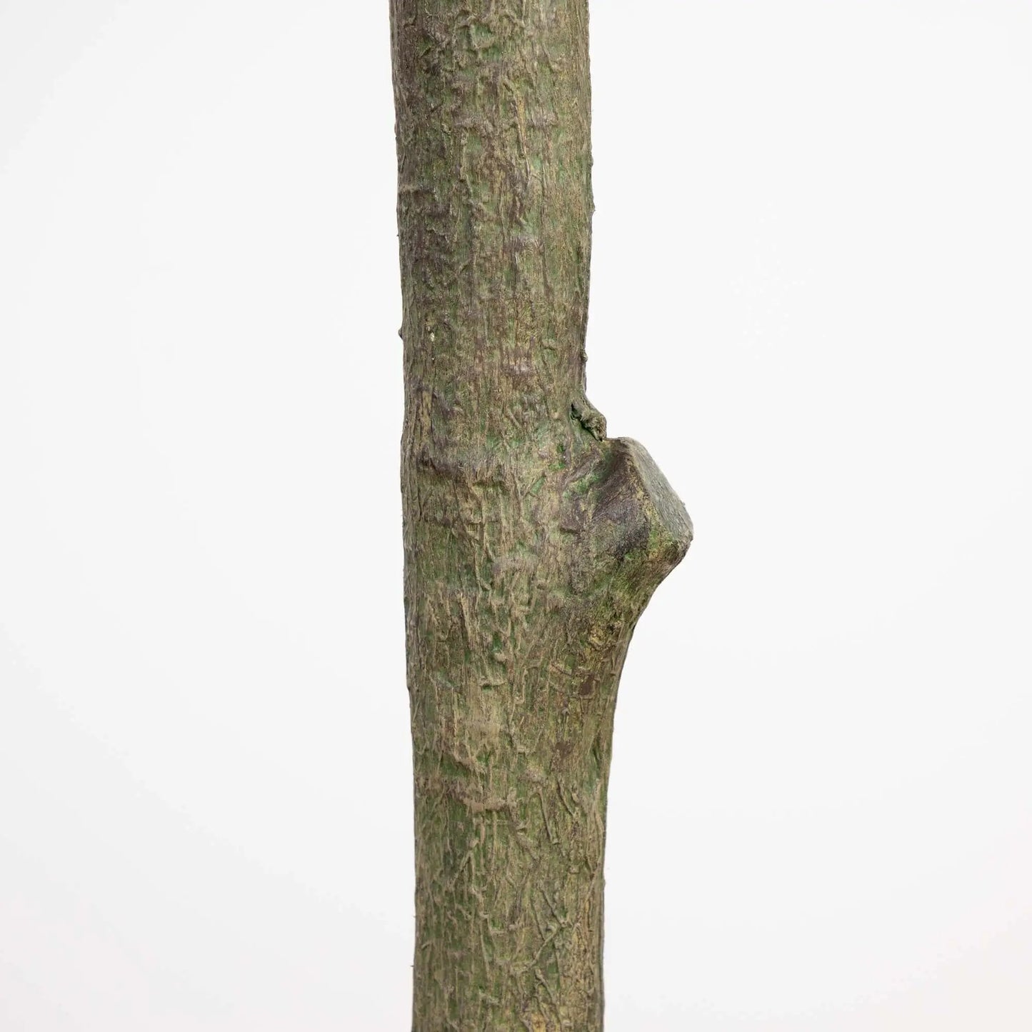 Giant artificial olive tree trunk close-up with textured brown bark by Nearly Natural on Tampa Home & Garden Store
