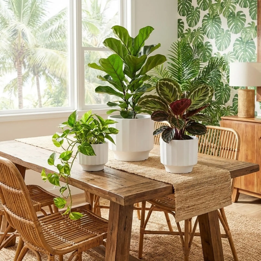 3-piece white stoneware planter set with fluted design by Florinia on Tampa Home & Garden Store