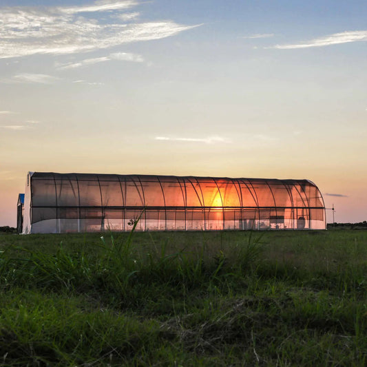 14' & 20'w Metal Hoop House Greenhouse Kit | Hoop Greenhouse Round - Tampa Home & Garden Store