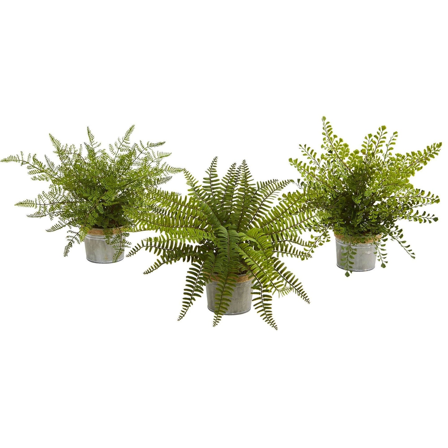 14” Assorted Ferns with Planter Artificial Plant (Set of 3) - Tampa Home & Garden Store