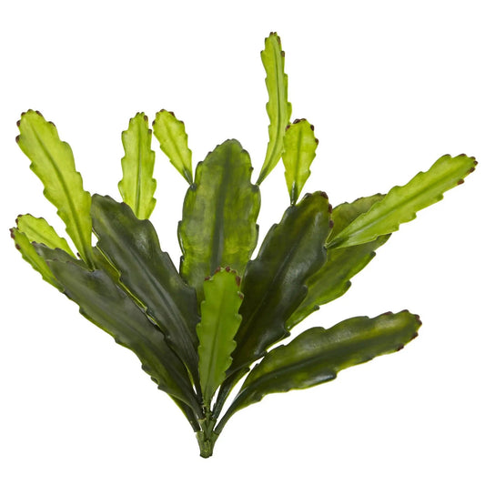 Artificial Epiphyllum cactus plant set of 4, 14in, lime-green leaves with brown-tipped edges on Tampa Home & Garden Store
