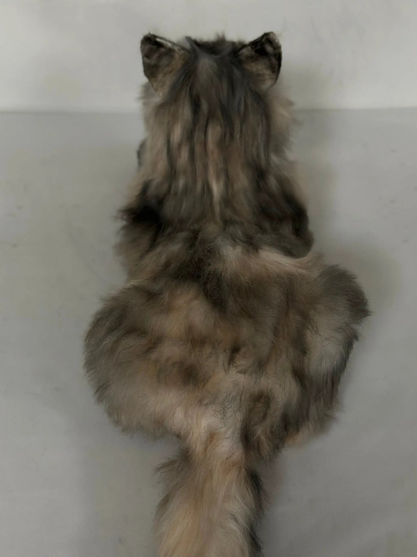 Plush American Tabby Cat Longhair Pet Memorial by Chongker, soft gray-brown fur on Tampa Home & Garden Store