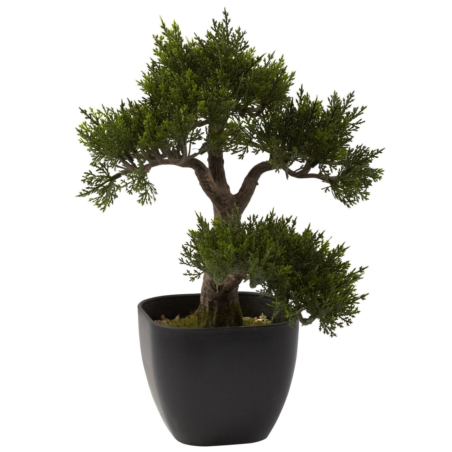 15” Artificial Cedar Bonsai Tree - Tampa Home & Garden Store