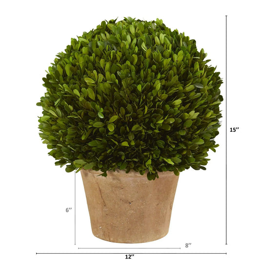 15-Inch boxwood ball preserved plant in planter, artificial green boxwood sphere by Nearly Natural on Tampa Home & Garden Store