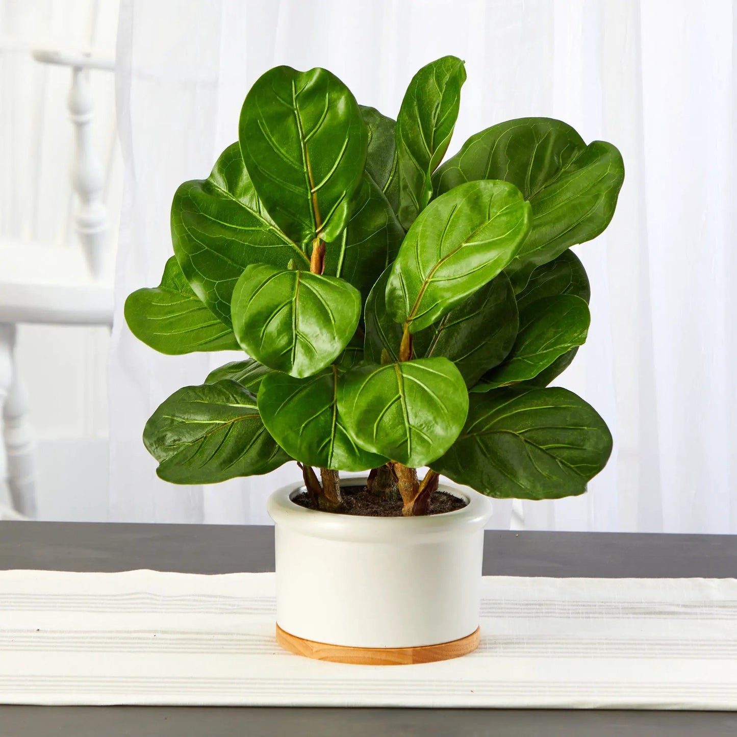 15” Fiddle Leaf Artificial Tree in White Planter - Tampa Home & Garden Store