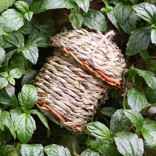 Handwoven straw bird nest cage ornament in natural beige by Sell My Stuff on Tampa Home & Garden Store
