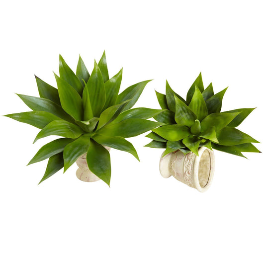 17” Agave Succulent Plant (Set of 2) - Tampa Home & Garden Store