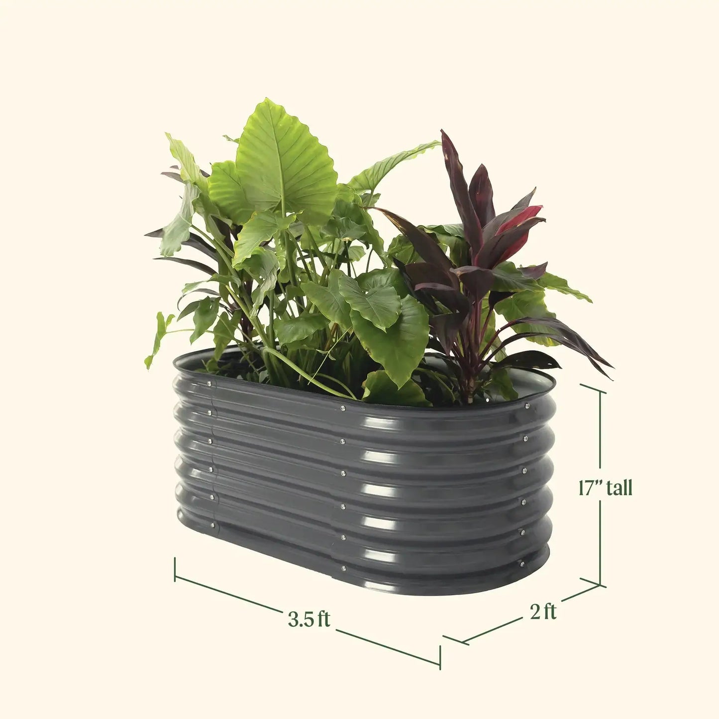 Kids Raised Garden Bed metal planter, 17in tall, 42x24 in, ribbed steel with green leaves on Tampa Home & Garden Store