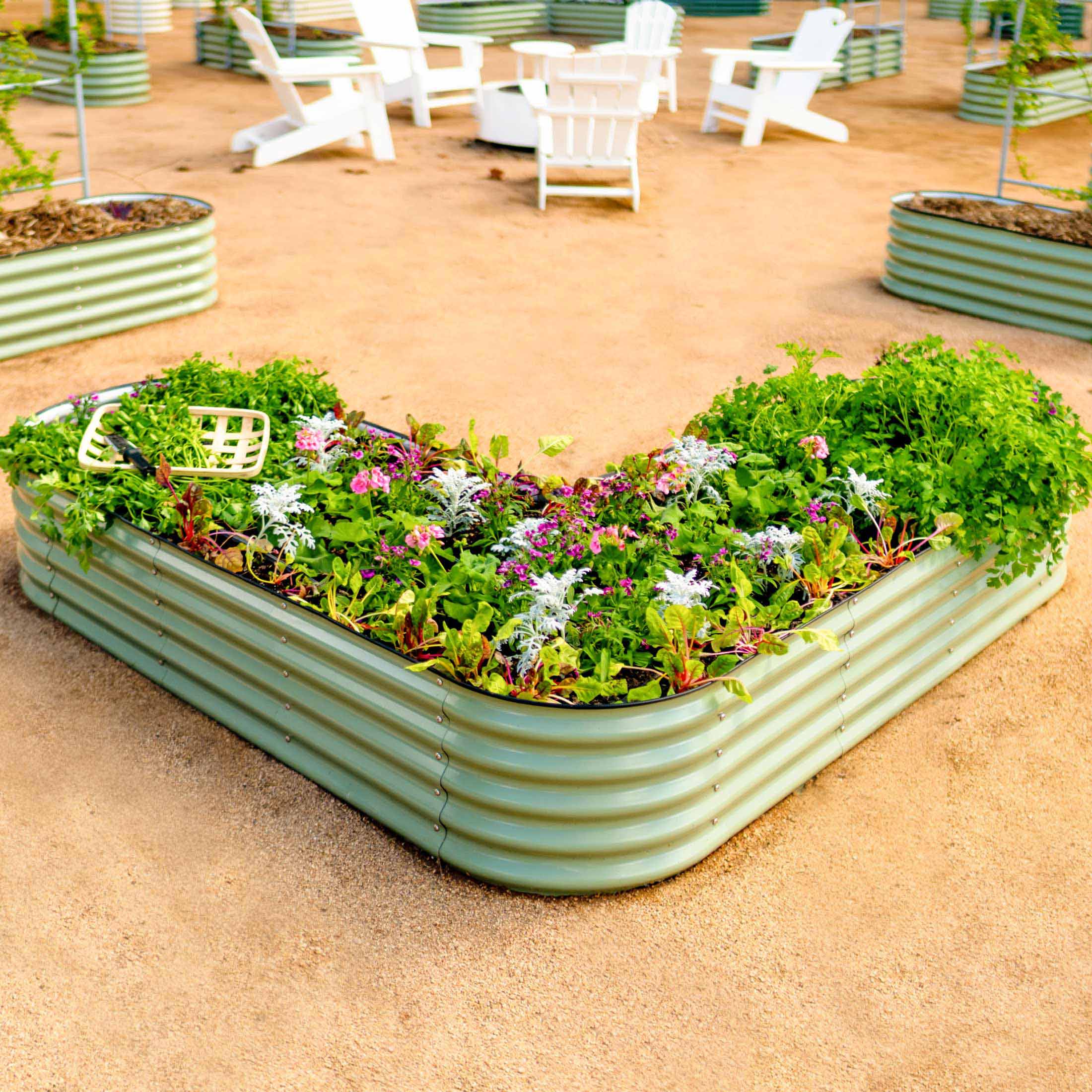 2-Pack L-Shaped Raised Garden Beds Installed | Tampa Bay Soil911