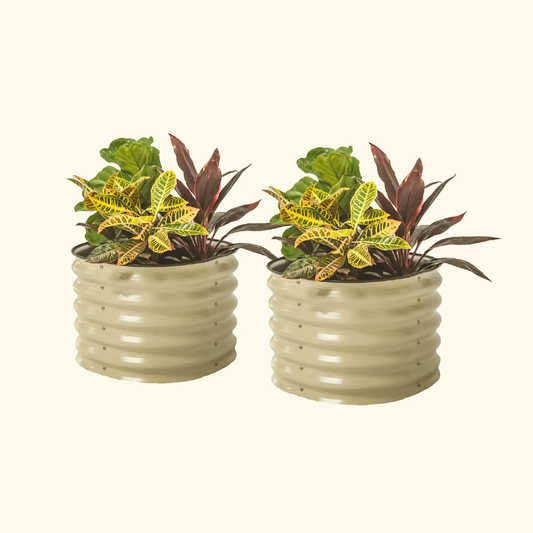 17" Tall Mini Garden Bed Planters 24" Wide Two Pack - Tampa Home & Garden Store