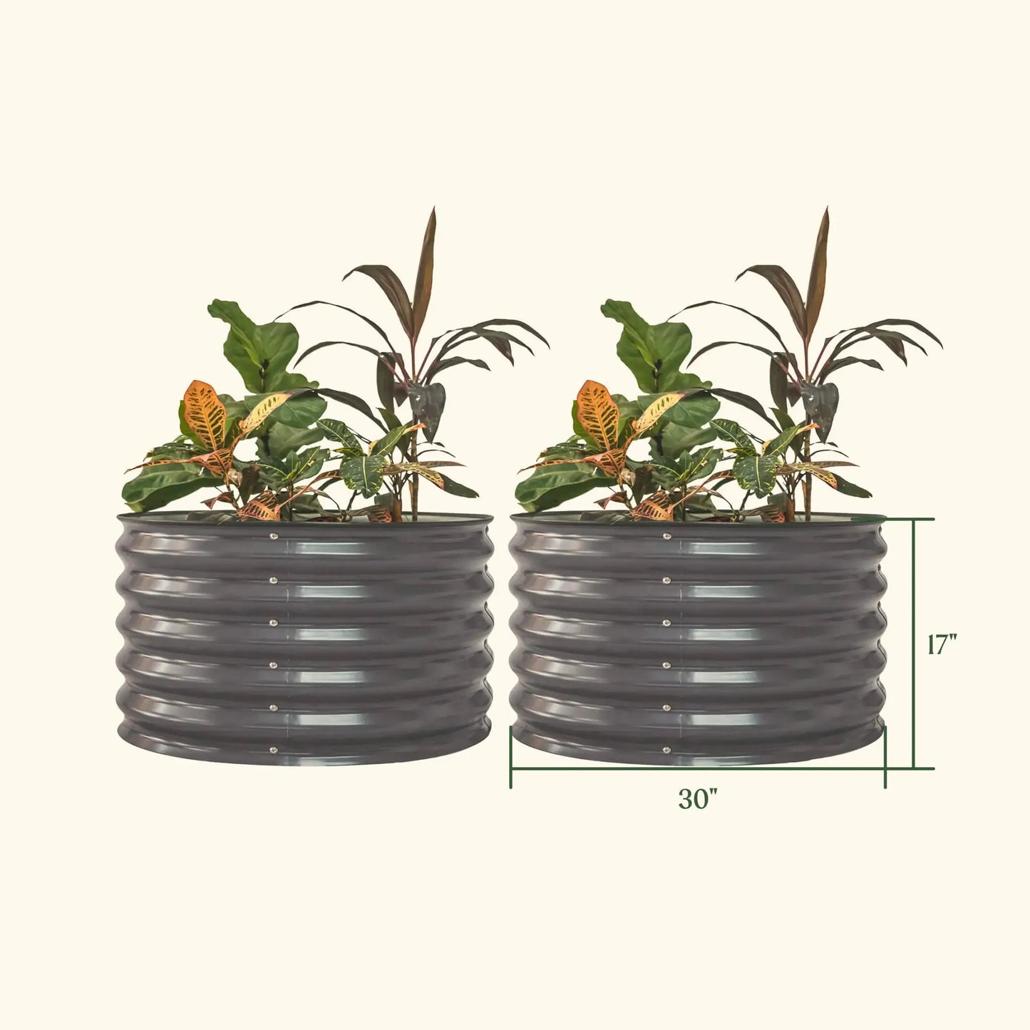 17 Inch Tall Mini Round Garden Bed Twin Pack ribbed dark gray metal planters with tropical foliage on Tampa Home & Garden Store