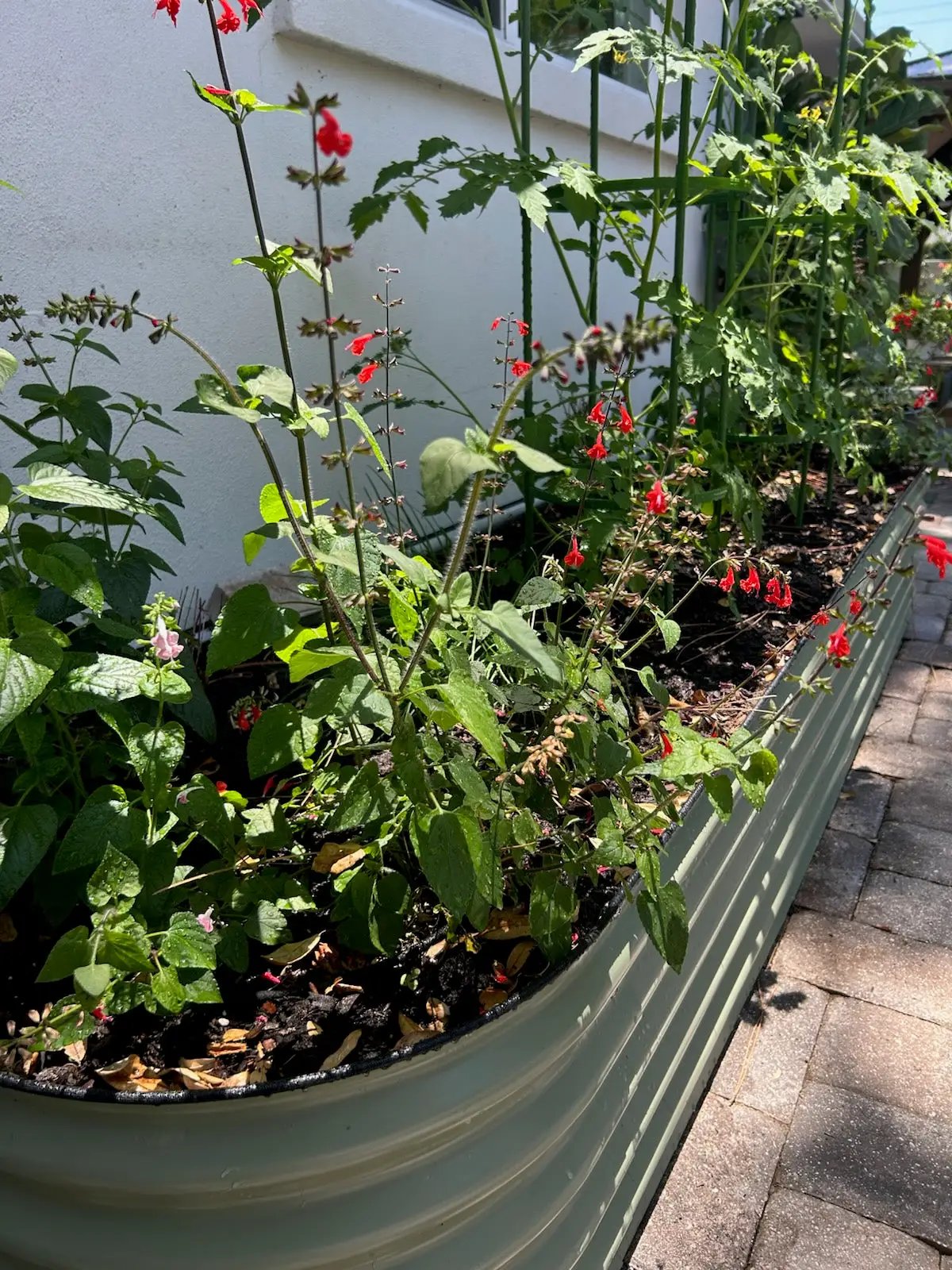Gray metal raised bed planter, 17in tall, 2.5x9.5, along a patio on Tampa Home & Garden Store