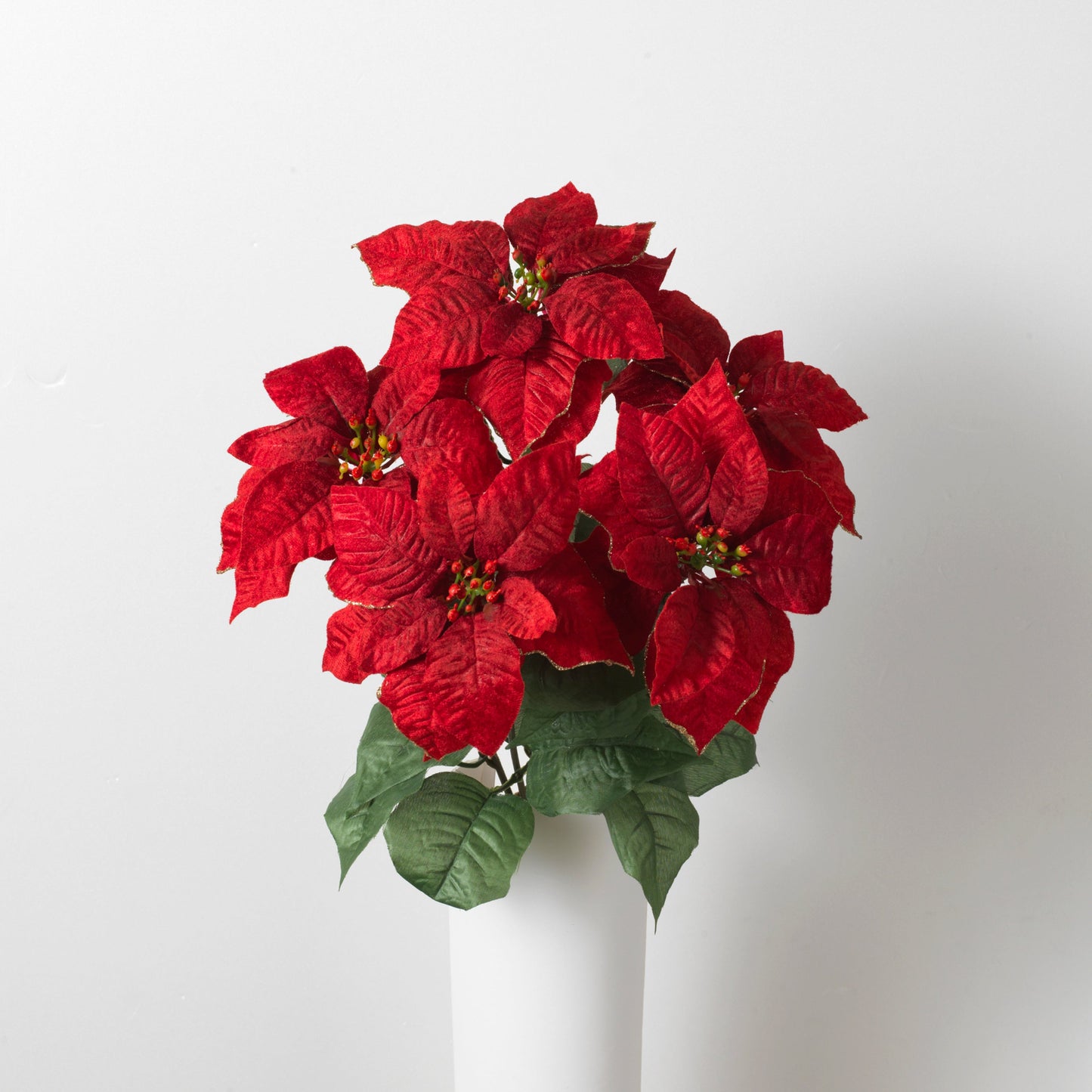 18" Glitter Edge Poinsettia Bush - Tampa Home & Garden Store
