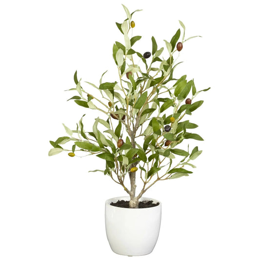 Olive Silk Tree with Vase, set of 2 in white ceramic pot by Nearly Natural on Tampa Home & Garden Store