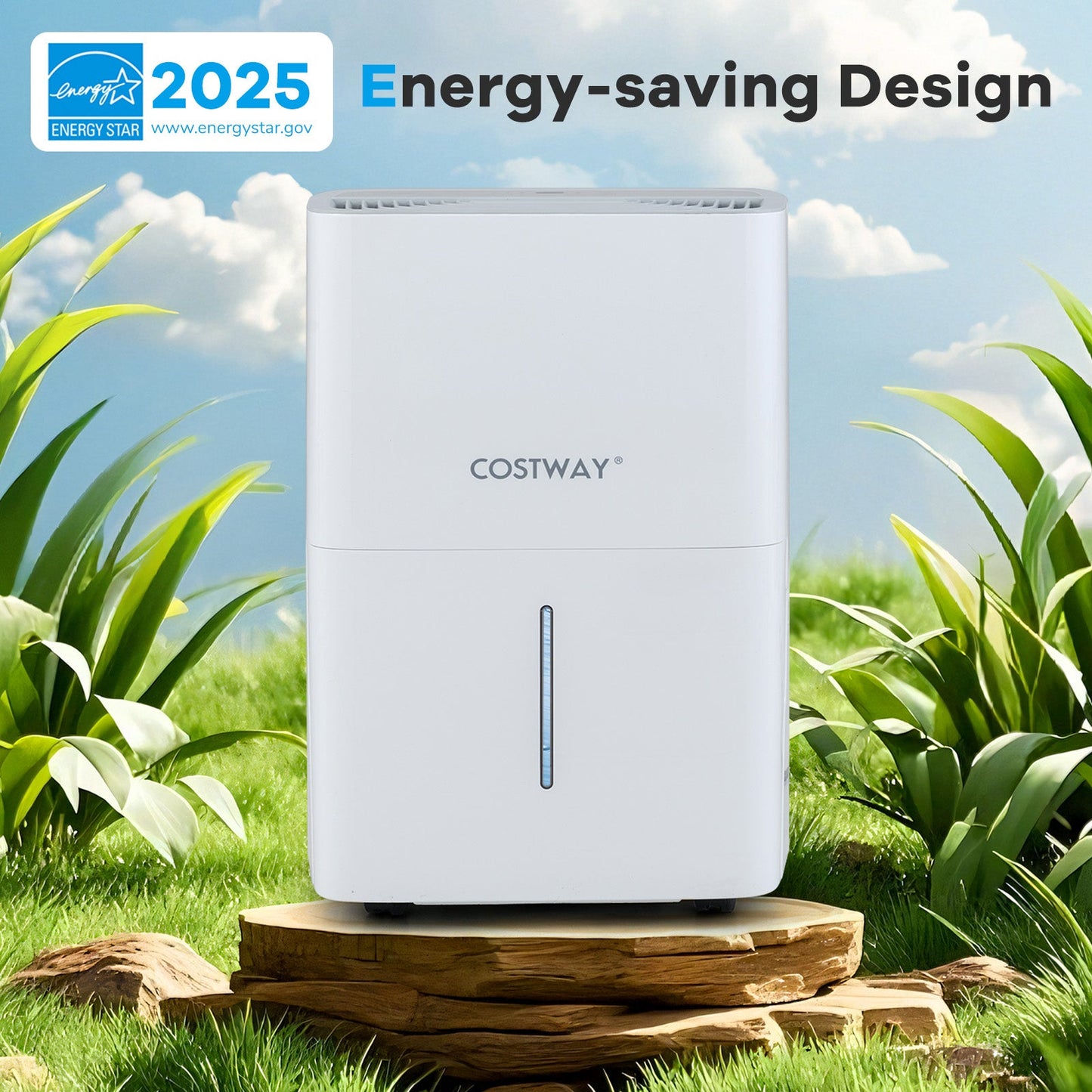 65-pint dehumidifier white with LED display and 24-hour timer COSTWAY Energy Star on Tampa Home & Garden Store